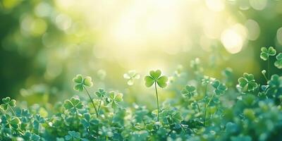 Tranquil light green background with subtle shamrock patterns for st. Patricks day designs photo