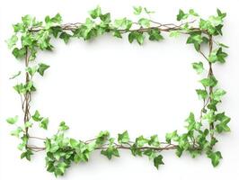 Green ivy vine frame on white background for nature themed designs photo