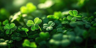 Light green textured background with subtle shamrocks for st. Patricks day design photo