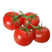 a group of fresh tomatoes isolated from the background png
