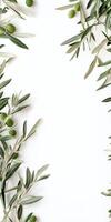 Fresh olive branches with green olives on white background photo