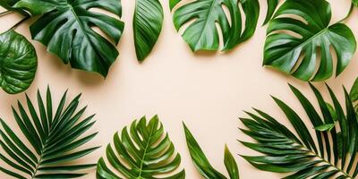 Assorted tropical green leaves on neutral background photo