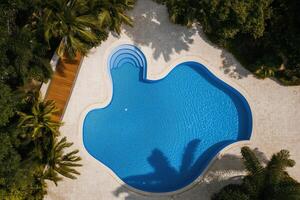 A tranquil pool surrounded by lush greenery, capturing tropical serenity and elegance photo