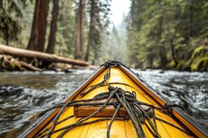 Tranquil Kayak Adventure Through Forested River photo