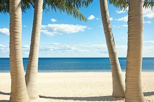 Palm Trees Framing a Tranquil Beachscape photo