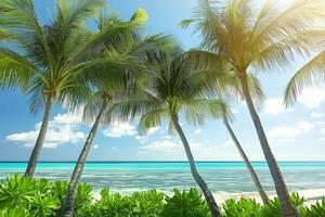 Tropical Paradise Under Swaying Palms photo