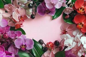 Elegant Orchid Blooms on Soft Pink Backdrop photo