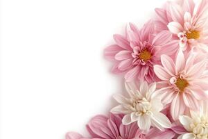 Elegant Pink and White Flowers on Minimalist Background photo