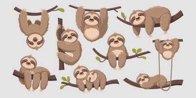 Lazy Day Out Adorable Cartoon Sloths in Action vector