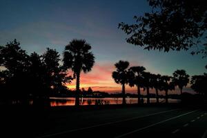 twilight sky in evening in park photo