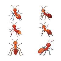 illustration of cute red ants set of cartoon insects illustration on a white background vector