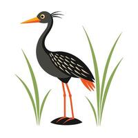 a black bird standing in the grass with long legs vector