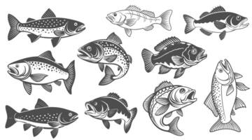 Set of Fish solid black color vector