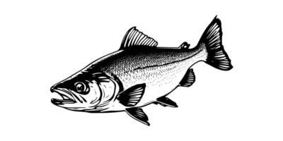 a fish is shown in a black and white drawing vector
