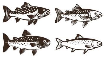Set of Fish art and illustration, Fish icon and Fish Design vector