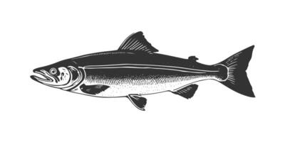 a black and white drawing of a salmon vector