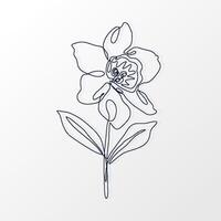 One Continuous Line of a Simple Daffodil Flower with Leaves. Hand drawn spring herbs and plants. Abstract floral sketch in one continuous line drawing. Perfect as a logo, tattoo, greeting cards vector