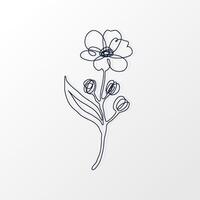 One Continuous Line of a Simple Cherry Flower with Leaves. Hand drawn spring herbs and plants. Abstract floral sketch in one continuous line drawing. Perfect as a logo, tattoo, greeting cards, website vector