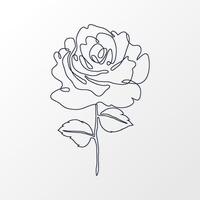 One Continuous Line of a Simple Rose with Leaves. Hand drawn spring herbs and plants. Abstract floral sketch in one continuous line drawing. Perfect as a logo, tattoo, greeting cards, website, print vector