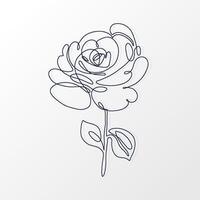 One Continuous Line of a Beautiful Rose Flower with Leaves. Hand drawn spring herbs and plants. Abstract floral sketch in one continuous line drawing. Perfect as a logo, tattoo, greeting cards vector