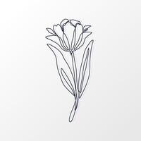 One Continuous Line of a Simple Tulip Flower with Leaves. Hand drawn spring herbs and plants. Abstract floral sketch in one continuous line drawing. Perfect as a logo, tattoo, greeting cards, website vector