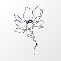One Continuous Line of a Simple Magnolia Flower with Leaves. Hand drawn spring herbs and plants. Abstract floral sketch in one continuous line drawing. Perfect as a logo, tattoo, greeting cards vector