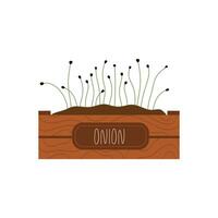 Microgreens onion sprouting in a wooden container, ideal for organic packaging design vector