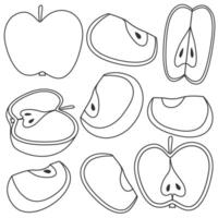 Set of apple halves, slices, and cross sections in doodle hand drawn style. Apple fruit icons vector