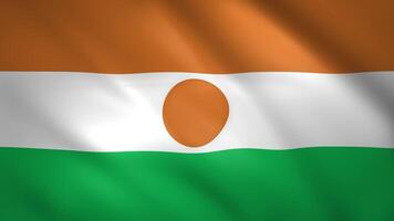 Niger flag moves slightly in the wind video