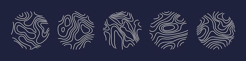 Circular wood rings or topographic map lines texture set. Wood tree topographic abstract lines collection vector
