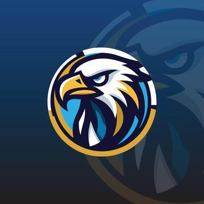 flat e-sport logo with a hawk or eagle head