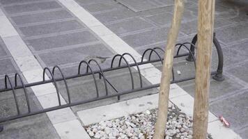 Ground empty rack for parking bicycles video