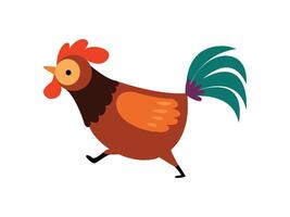Rooster with Bright Plumage, Farm Running, Poultry Farming Illustration vector
