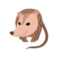 Cute Opossum, Adorable Wild Animal Front View Illustration vector