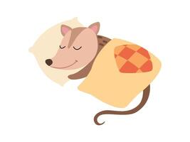 Cute Opossum Sleeping in Bed, Adorable Wild Animal Cartoon Character Illustration vector