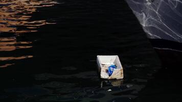 Garbage floats on the water video