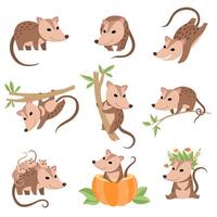 Cute Opossums Animals in Various Poses Set, Adorable Wild Animals Cartoon Characters Illustration vector