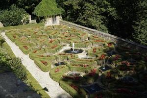 Walbrzych, Poland - August 12th, 2024 - Hedge trimmed in geometrical pattern in Ksiaz Castle garden photo