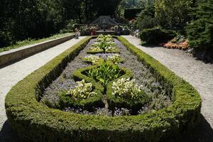 Walbrzych, Poland - August 12th, 2024 - Hedge trimmed in geometrical pattern in Ksiaz Castle garden photo