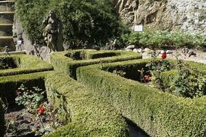 Walbrzych, Poland - August 12th, 2024 - Hedge trimmed in geometrical pattern in Ksiaz Castle garden photo