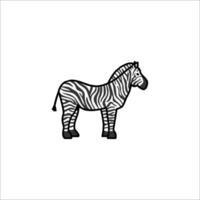 A zebra is standing in front of a white background vector