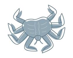 A cute crab in color. Doodle clip art for your projects. vector