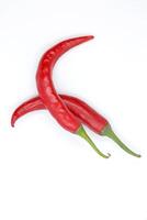 Red hot natural chili pepper. Chili clipping path. Organic fresh chili pepper isolated on white. Full depth of field photo
