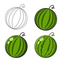 watermelon set illustration vector