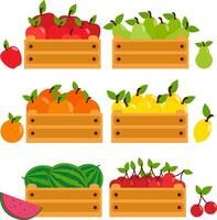 Farmers market produce, harvesting fruit in boxes. Apples, pears, lemons, cherries, oranges and watermelons. Set of wooden crates with different fruits from the garden. vector
