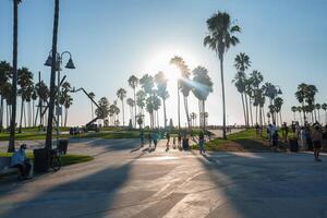 Sunset at Venice Beach with Palm Trees and Active Lifestyle photo