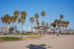 Vibrant Scene at Venice Beach with Palm Trees and Colorful Murals photo