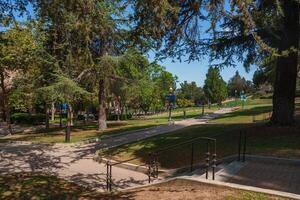 UCLA Campus Scene with Pathways, Trees, and School Banners photo