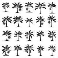 Silhouette Of Set Banana Trees Stock Illustrations vector