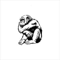 a black and white drawing of a monkey sitting on the ground vector